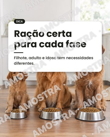 Prévia 4 do Pack PetShop