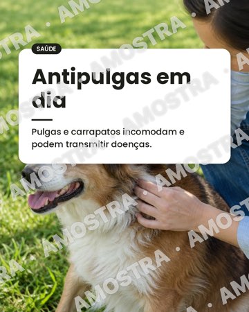 Prévia 5 do Pack PetShop